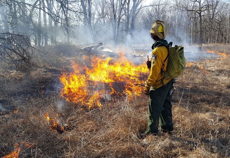 photo of firefighter and grassy fire