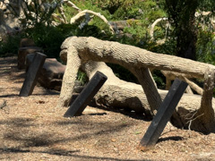 image of wrought iron beside bench