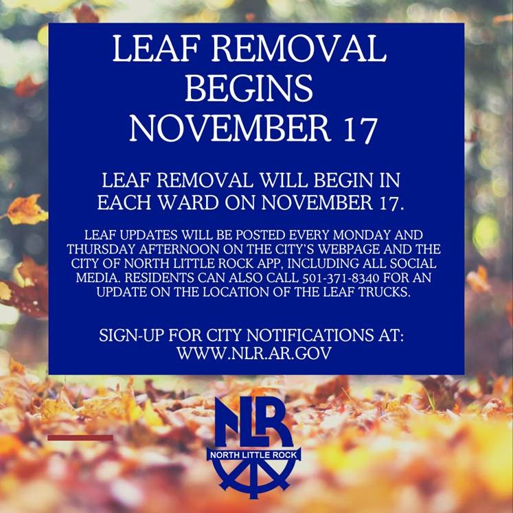 leaf removal update