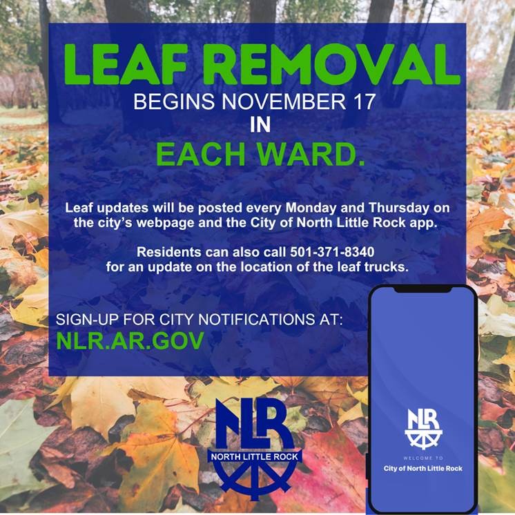 leaf removal update