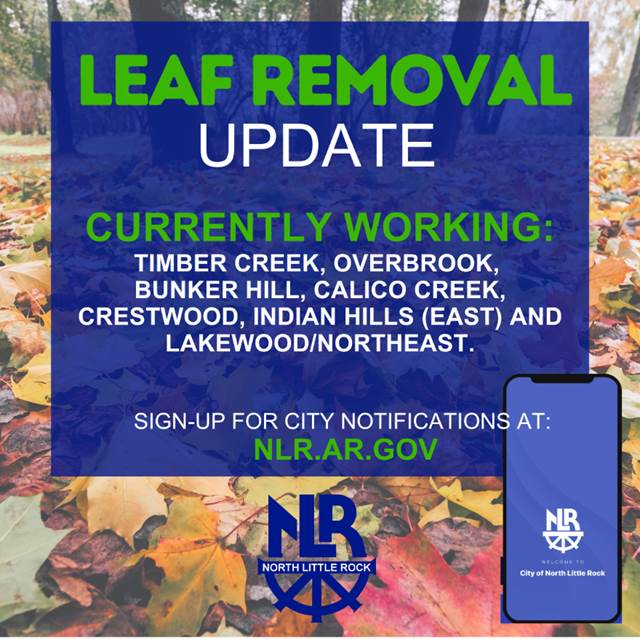 leaf removal update