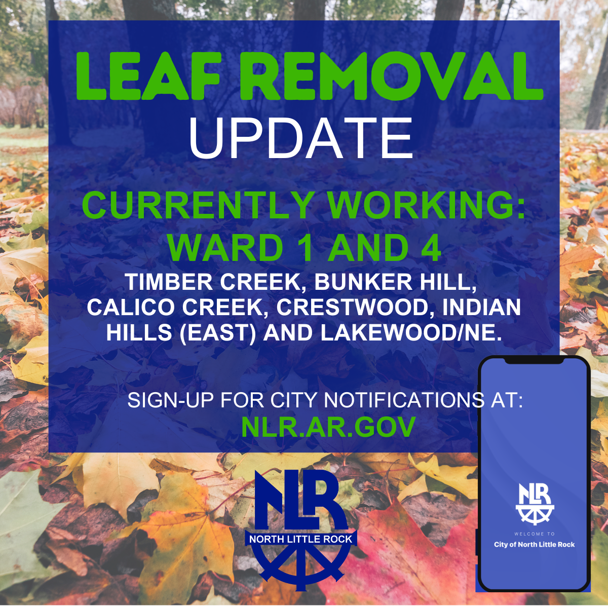 leaf removal update