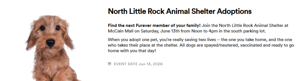 Promotional banner for the North Little Rock Animal Shelter Adoptions event. On the left, a small brown dog with long, scruffy fur looks directly at the viewer against a white background. On the right, black text announces the event details: “North Little Rock Animal Shelter Adoptions” and encourages people to “Find the next Furever member of your family!” The event takes place at McCain Mall on Saturday, June 13, 2026, from noon to 4 p.m. in the south parking lot. The text explains that adopting one pet saves two lives and that all dogs are spayed or neutered, vaccinated, and ready to go home that day.