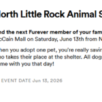 Promotional banner for the North Little Rock Animal Shelter Adoptions event. On the left, a small brown dog with long, scruffy fur looks directly at the viewer against a white background. On the right, black text announces the event details: “North Little Rock Animal Shelter Adoptions” and encourages people to “Find the next Furever member of your family!” The event takes place at McCain Mall on Saturday, June 13, 2026, from noon to 4 p.m. in the south parking lot. The text explains that adopting one pet saves two lives and that all dogs are spayed or neutered, vaccinated, and ready to go home that day.