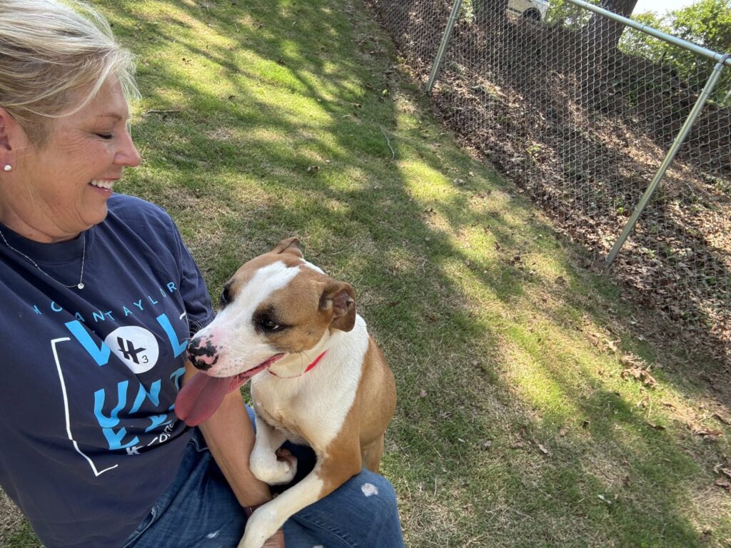 Volunteer sits on grass smiling at a brown and white dog resting on her lap.