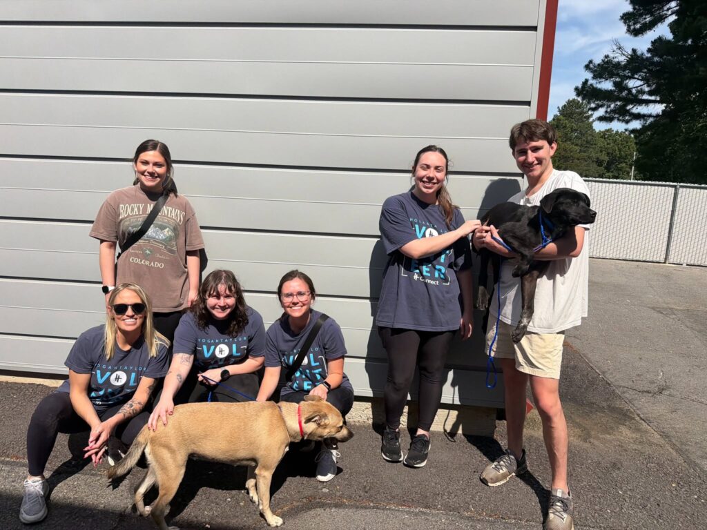 Group of six volunteers posing with two dogs outside a building.