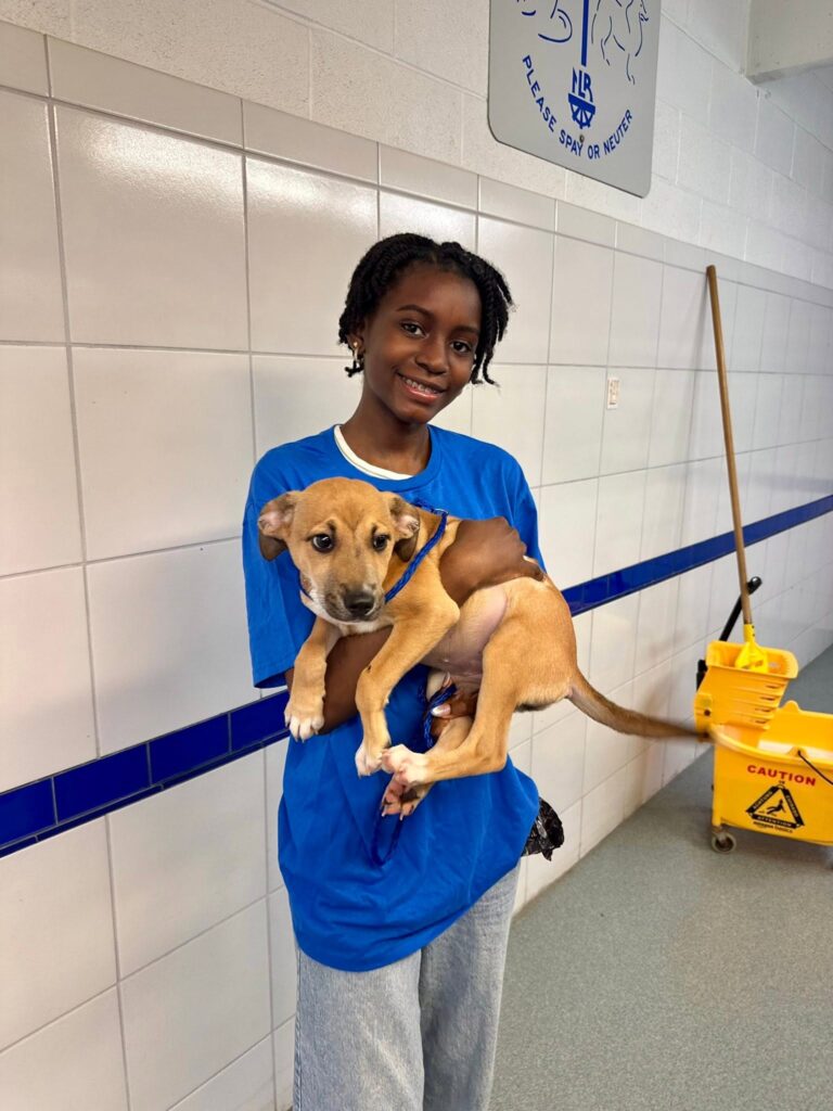 Volunteer holds a tan puppy inside an animal shelter.