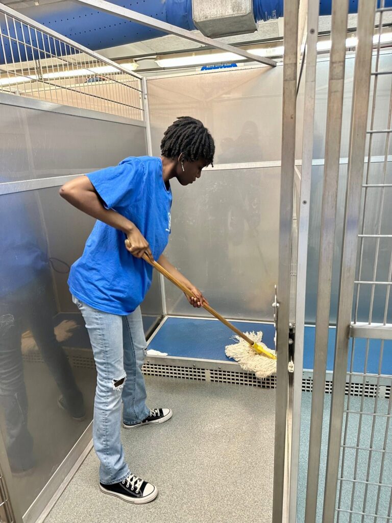 Volunteer mops the floor inside a kennel enclosure.