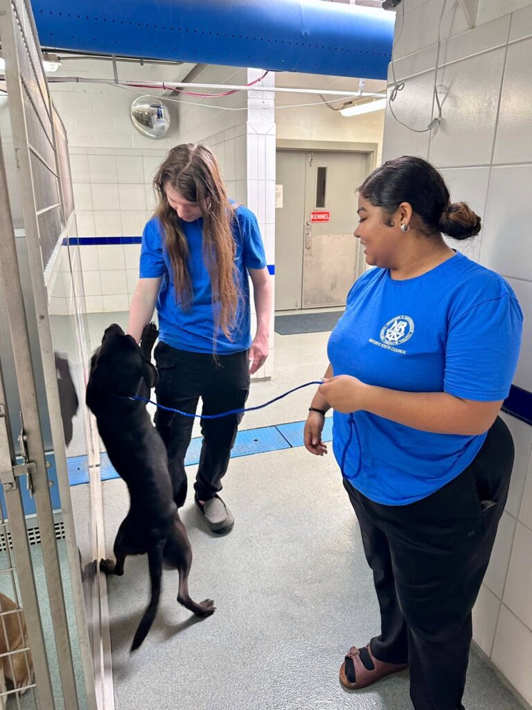 Two volunteers interact with a black dog inside a kennel area.