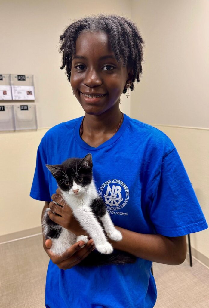 Volunteer holds a black and white kitten indoors.
