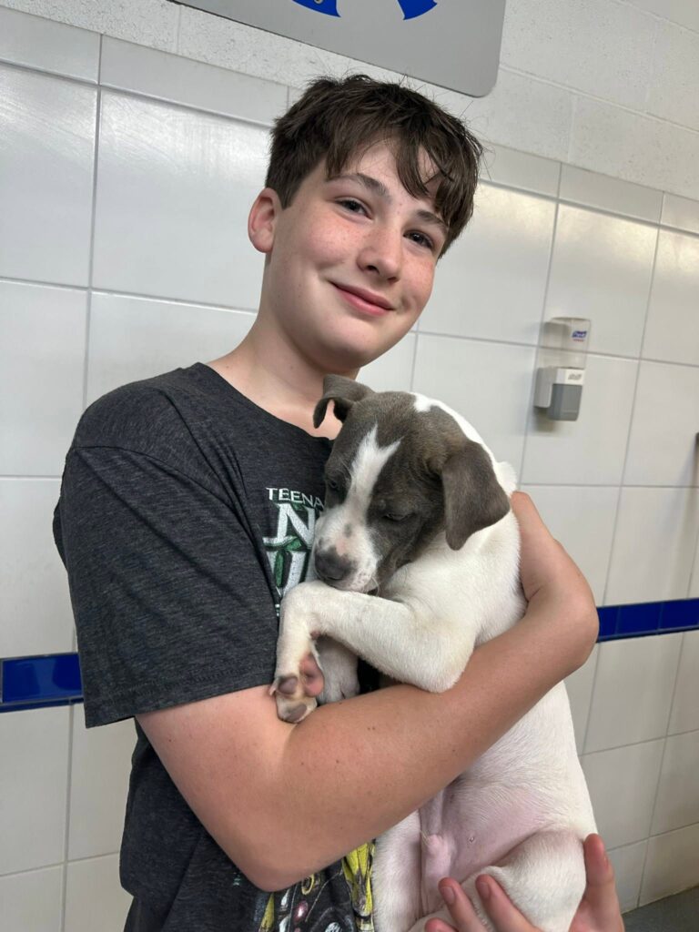 Volunteer holds a white and gray puppy inside a shelter.