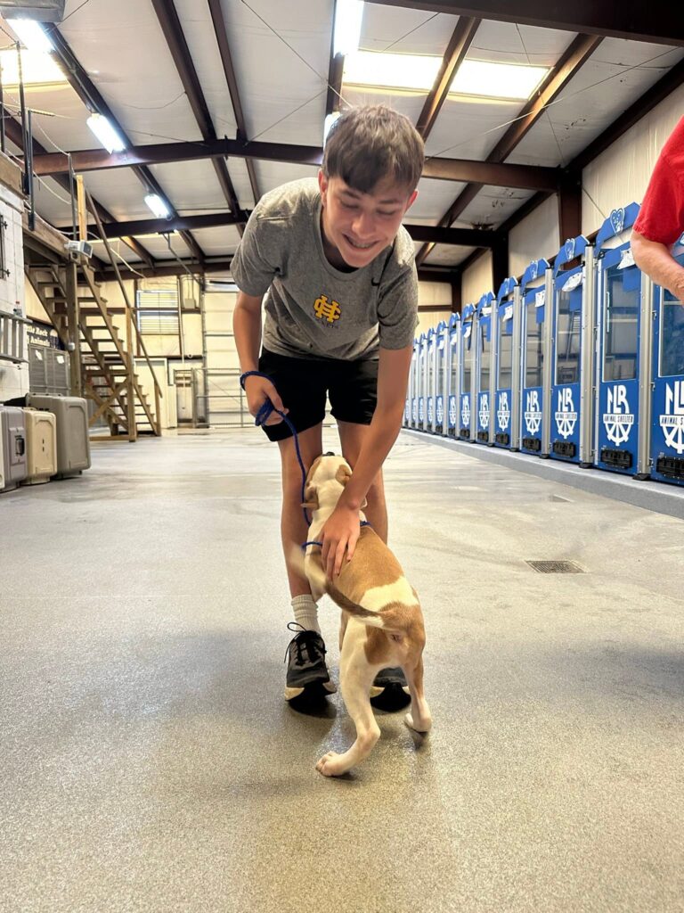 Volunteer bends down to pet a small tan and white puppy inside a kennel facility.