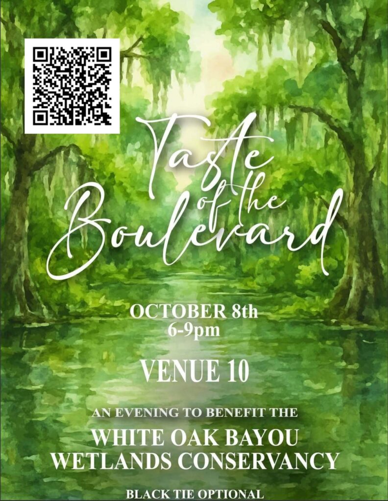 Decorative event flyer featuring a watercolor-style green bayou landscape with trees draped in Spanish moss reflected in calm water. A QR code appears in the upper left corner. White text reads: “Taste of the Boulevard,” “October 8th, 6-9pm,” “Venue 10,” “An Evening to Benefit the White Oak Bayou Wetlands Conservancy,” and “Black Tie Optional.”