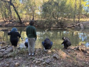 students cleaning creek